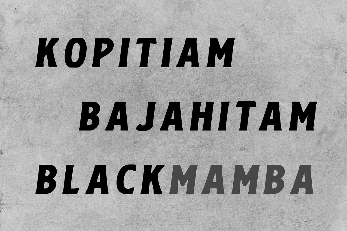 Maevrick Bold Modern, a Serif Font by Anomali Creatype (Photo 6 of 10)