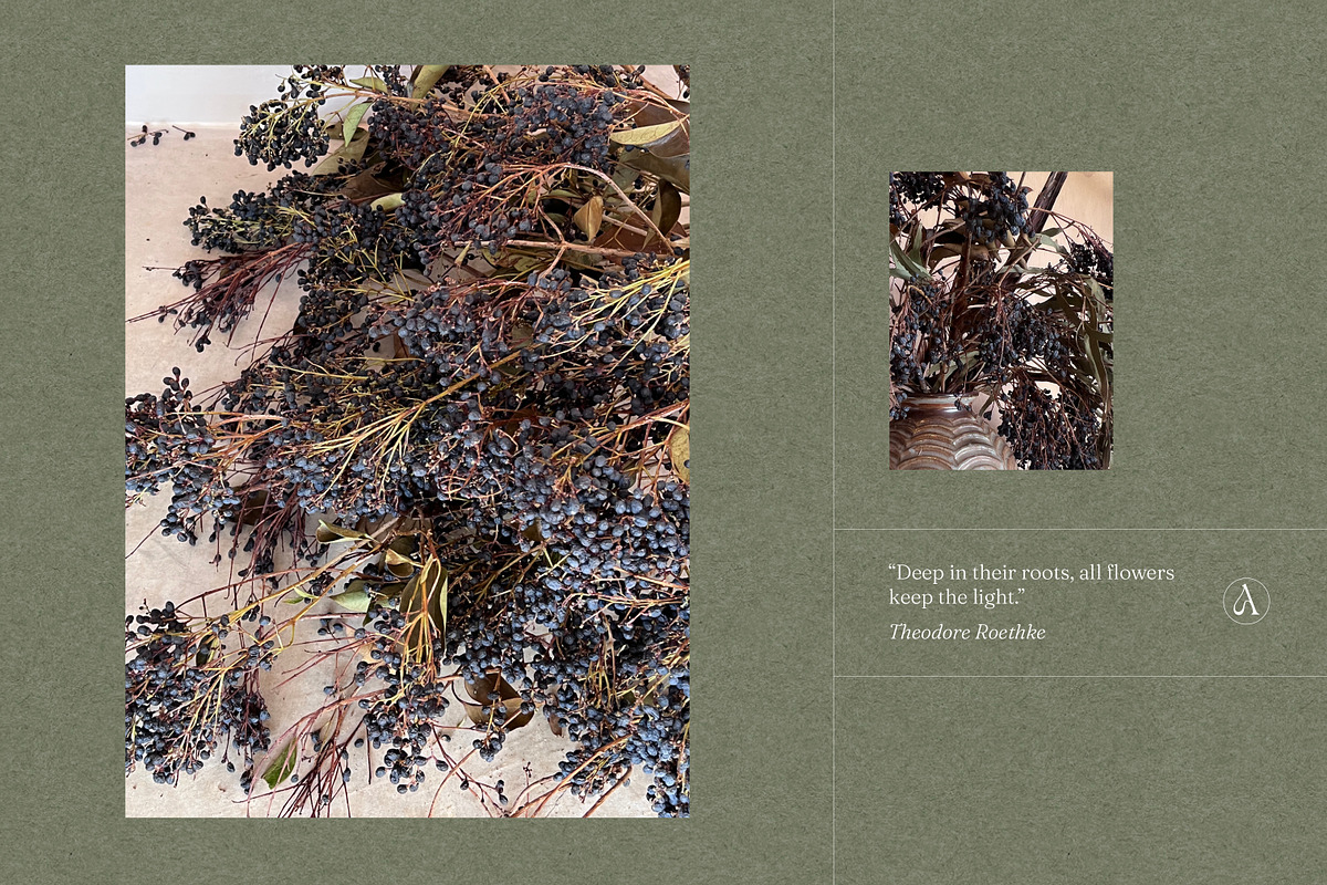 Botanical Still Life Photography, a Background Graphic by bron.alexander (Photo 3 of 10)
