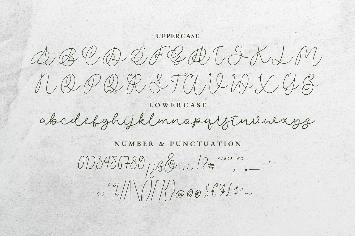 Gilded Lumiere - An Elegant Font Duo, a Script Font by Ainun Jinan (Photo 11 of 12)