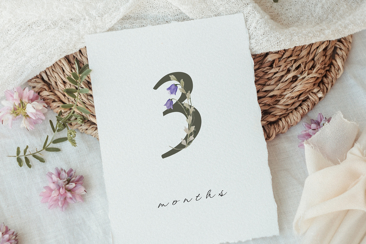 Watercolor Wildflowers Collection, an Object Illustration by Jenteva Art (Photo 9 of 18)