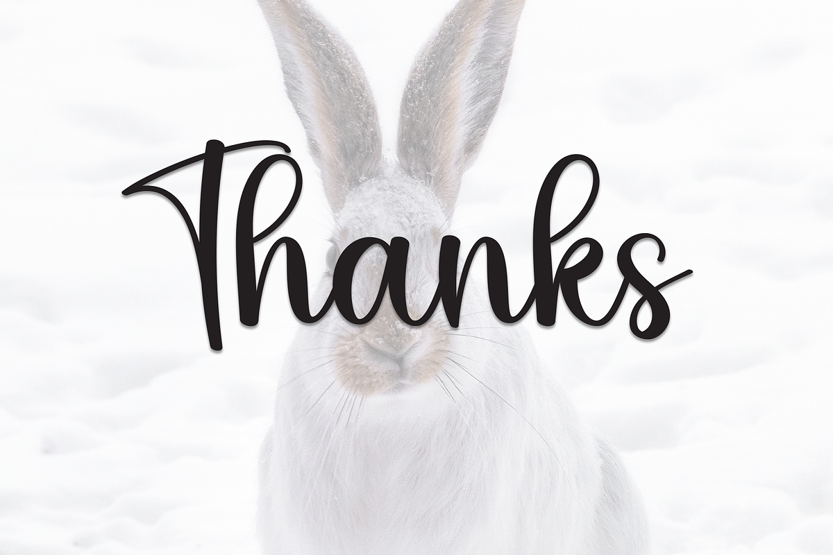 Hello Bunny | Script Font, a Handwritten Font by Scratchones (Photo 8 of 8)