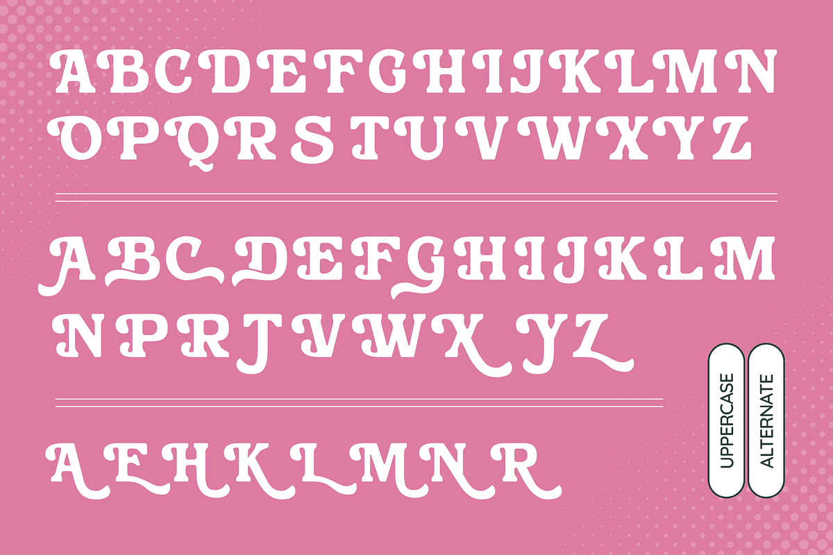 Bushi Retro - Food Logo Extrude Font, a Serif Font by Nirmana Visual (Photo 6 of 15)