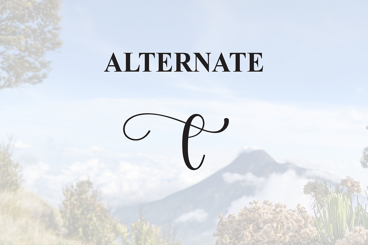 Mount | Script Font, a Handwritten Font by Scratchones (Photo 8 of 9)