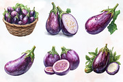 Eggplant Watercolor Cliparts, an Illustration by RobertsArt (Thumbnail 5 of 7)