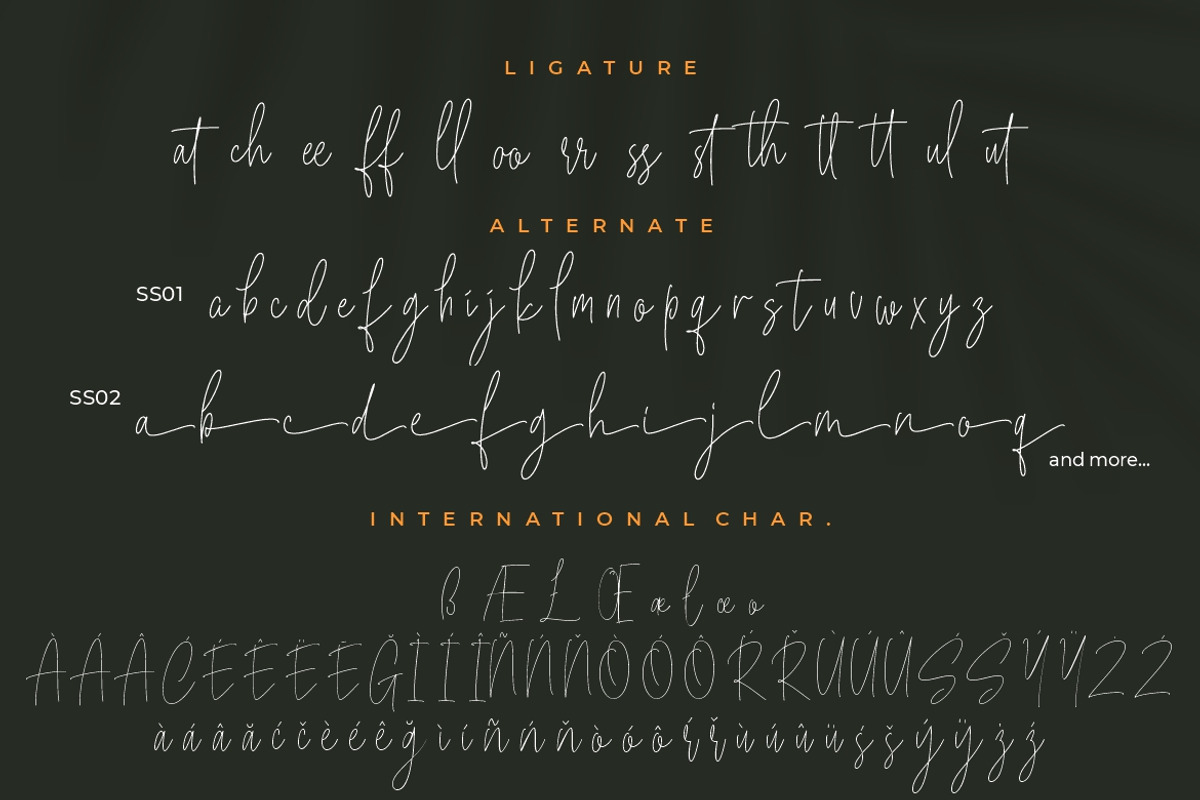Bucherry Monoline Script, a Script Font by Creatype Studio (Photo 9 of 9)