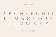 Bechilo – Modern Serif Font, a Serif Font by Yahya Type (Thumbnail 20 of 25)