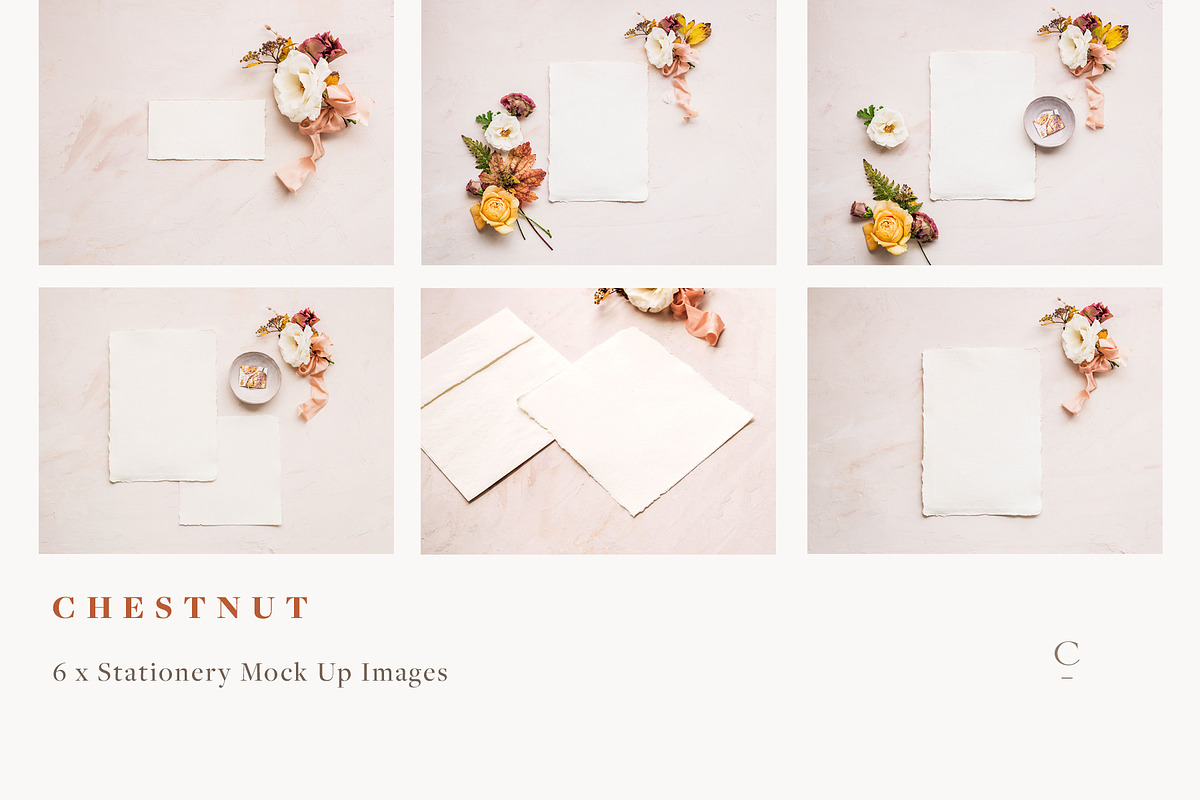 Stationery Mock Ups - Chestnut, a Mockup by Create The Cut (Photo 2 of 7)