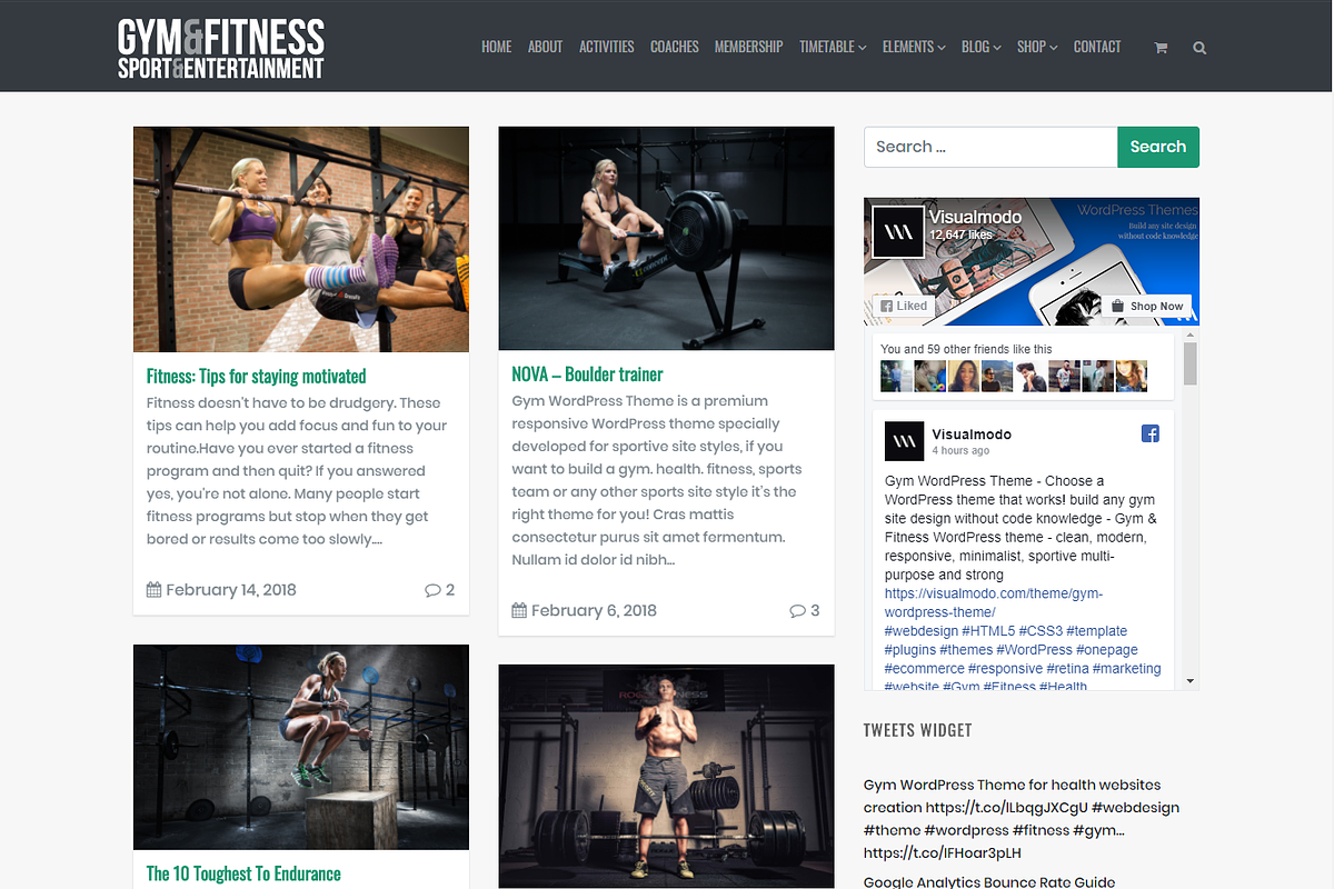 Gym & Fitness WordPress Theme, a WordPress Template by Visualmodo (Photo 19 of 25)