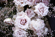 A Garden of Roses | Wedding, Events, a Nature Photo by Farewell (Thumbnail 38 of 41)