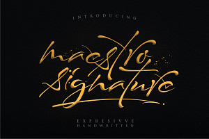 Maestro Signature // Expresivve Font