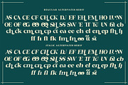 Kestion, a Serif Font by Gatype (Thumbnail 8 of 10)