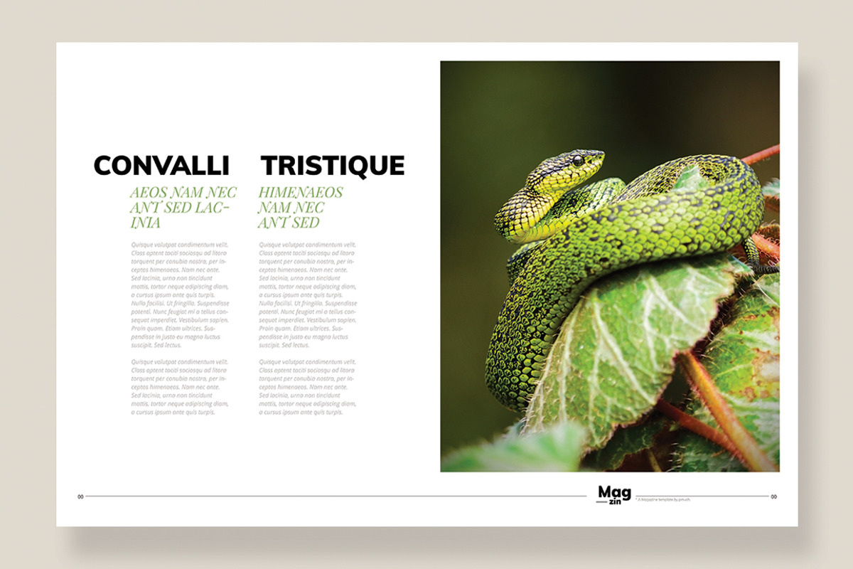 Magazine Template 10, a Magazine Template by pmvch (Photo 12 of 12)