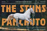 Stuns Panchuto | Display Font, a Sans Serif Font by Illousa (Thumbnail 2 of 7)