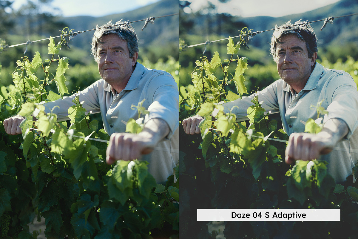20 Farm to Table Lightroom Presets, a Preset Add-On by SparkleStock (Photo 7 of 11)