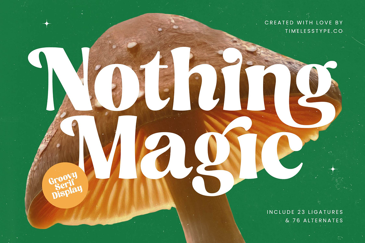 Nothing Magic Retro Groovy Serif, a Serif Font by timelesstype.co (Photo 1 of 20)