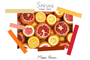 Spring Washi-Tape, an Illustration by MoodyPapers (Thumbnail 2 of 5)