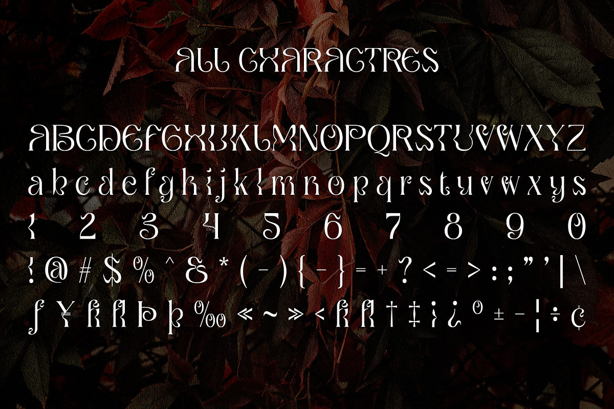 Qaila – Serif Typeface, a Serif Font by Craft Supply Co. (Photo 7 of 8)