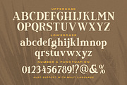 Newfield - Modern Serif Font, a Serif Font by Letterhend Studio (Thumbnail 9 of 9)