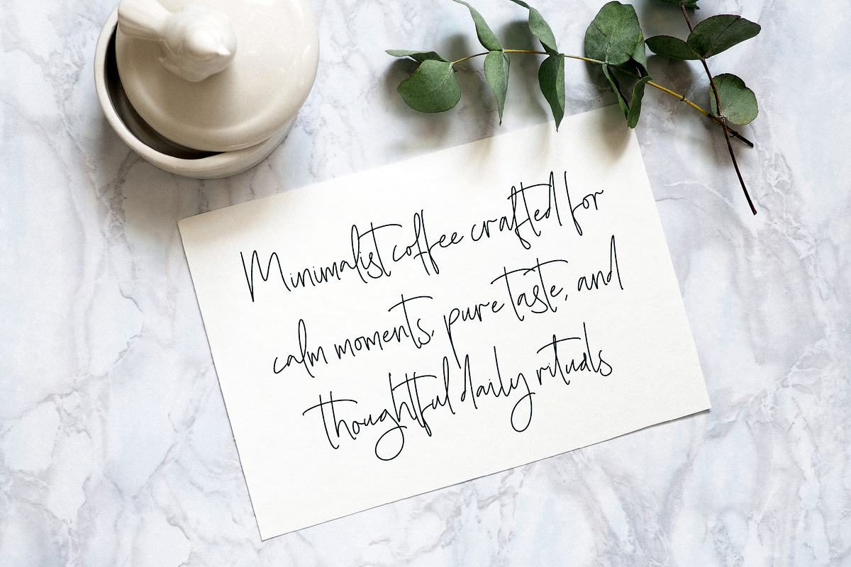 Sharottens Monoline Script, a Script Font by operatype.co (Photo 11 of 15)