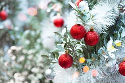 Closeup of decorate ornament on Christmas tree with bokeh defocu, a Holiday Photo by Ministocker