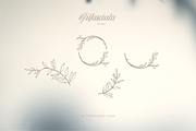 Trifasciata, a Script Font by ilhamtaro (Thumbnail 11 of 11)
