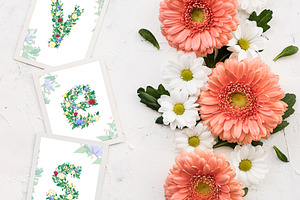 Floral Colorful Font Decoration