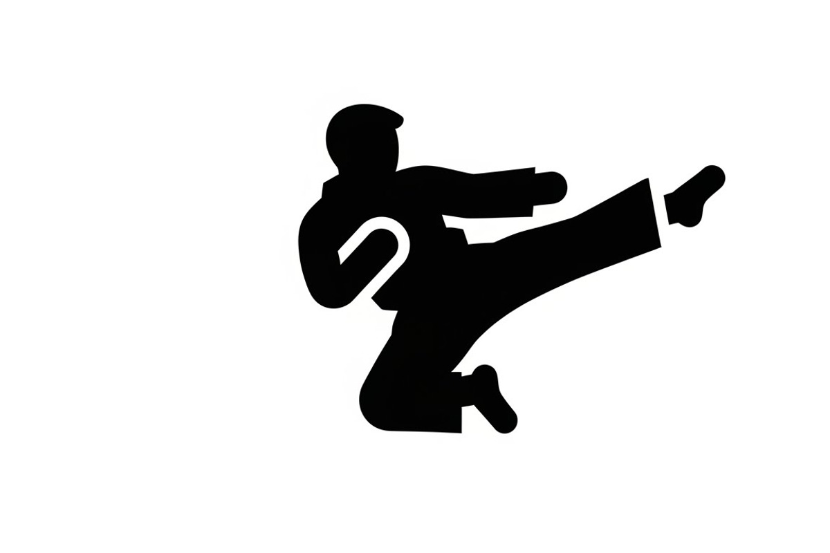 Dynamic martial arts kick silhouette, an Illustration by Amazin_art (Photo 28 of 36)