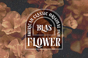 Rosamila Display, a Serif Font by Stripes Studio (Thumbnail 7 of 11)