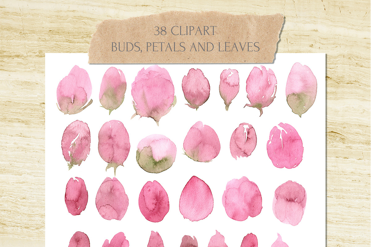 Into The Blush Watercolor Collection, an Object Graphic by Cat In Colour (Photo 7 of 11)