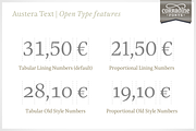 Austera Text Essential #3, a Serif Font by Corradine Fonts (Thumbnail 10 of 14)