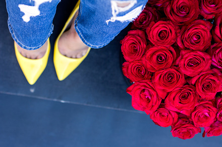 The red roses and female legs