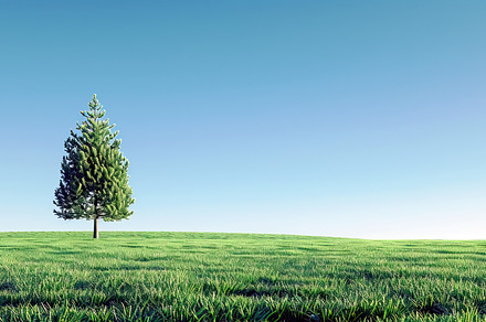 Lush green field under blue skies wi, a Photo by LOGOCREATIVE