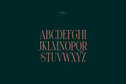 SALE! Maturation Typeface - font duo, a Serif Font by VP Fonts (Thumbnail 9 of 16)