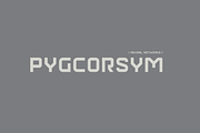 Ramego Font, a Sans Serif Font by baqoos (Thumbnail 4 of 7)