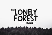 Laris Font, a Font by YandiDesigns (Thumbnail 3 of 4)