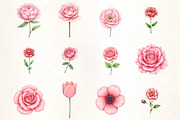 Blush Flower Clipart, an Illustration by CrexoraLab (Thumbnail 3 of 5)
