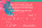 Berishye Elegant Script Font, a Script Font by timelesstype.co (Thumbnail 18 of 20)