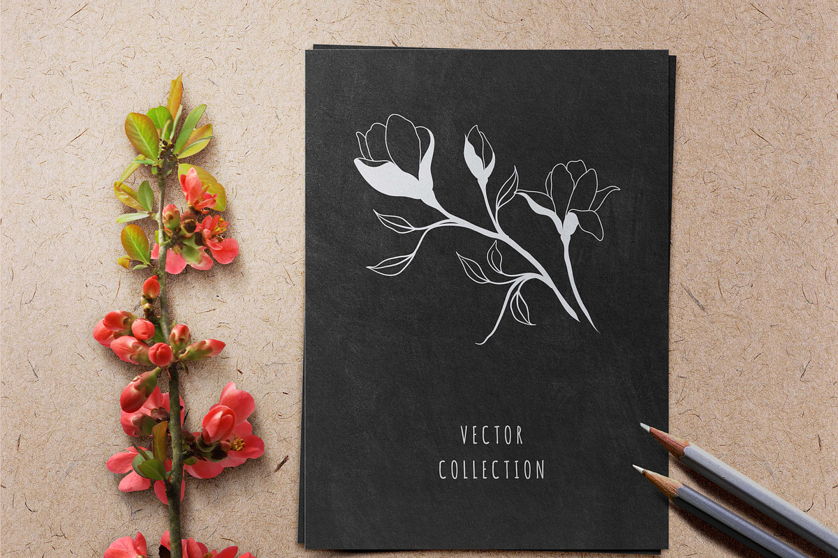 Hand Sketched Magnolia, a Decorative Illustration by Solana (Photo 7 of 10)