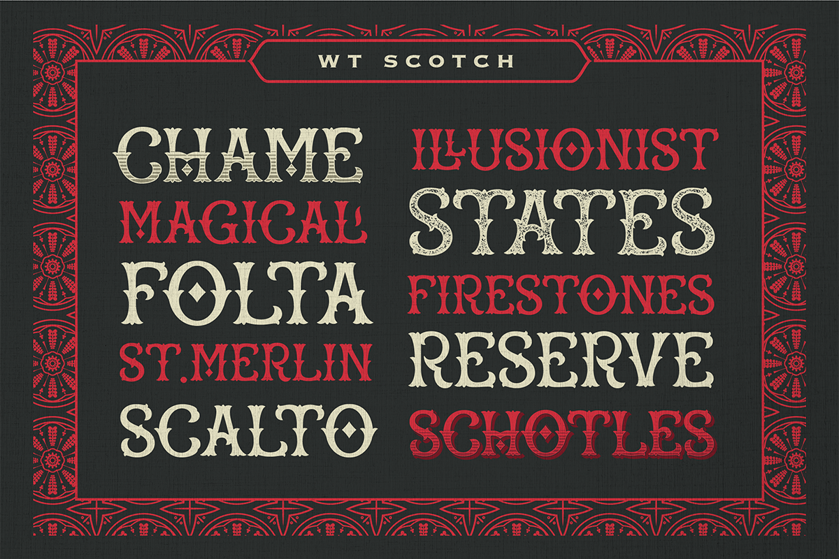 WT Scotch + Bonus, a Font by Winston Type Co. (Photo 9 of 10)