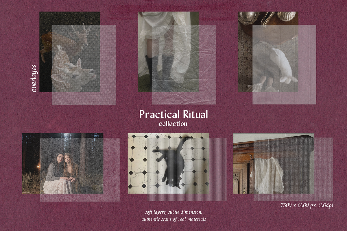 Practical Ritual: Collection, an Object Graphic by TiriCo (Photo 11 of 12)