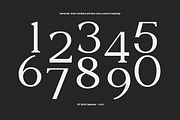 GC Quick Gaseous – Elegant Serif, a Serif Font by Glyphonic (Thumbnail 5 of 15)