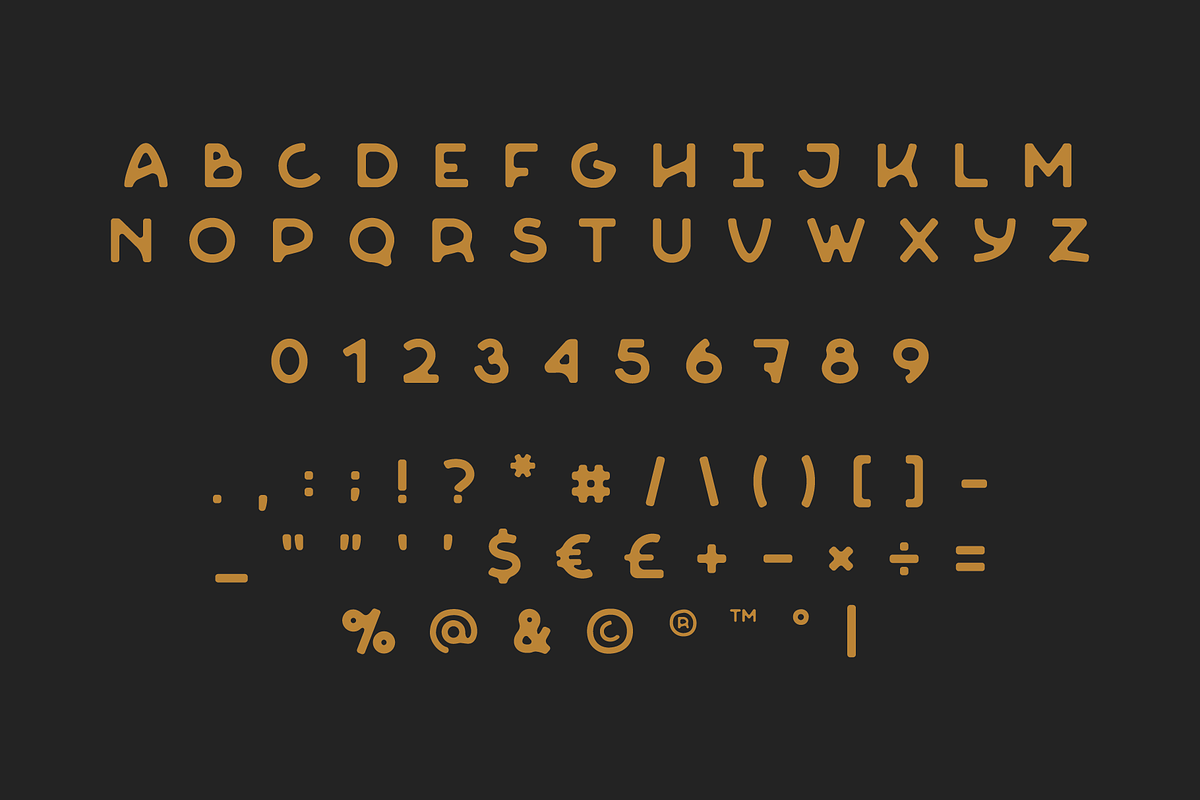 Harbor - Type Family, a Sans Serif Font by Camber & Type (Photo 3 of 6)