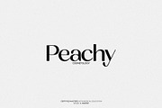 Sprinter - Modern & Elegant Sans, a Sans Serif Font by Misha Sova (Thumbnail 3 of 11)