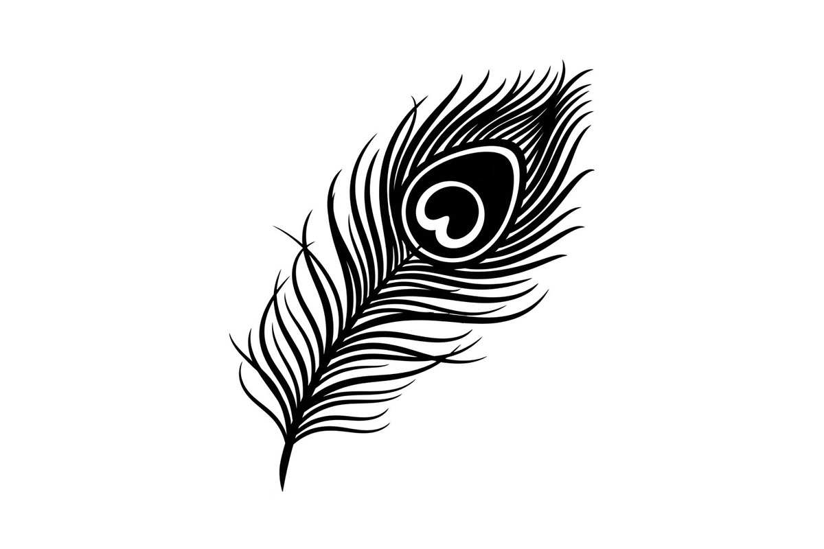 Peacock Feather Silhouette Bundle, an Illustration by jahid234 (Photo 6 of 31)