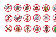 Set of insects, an Animal Illustration by IPVector (Thumbnail 4 of 6)