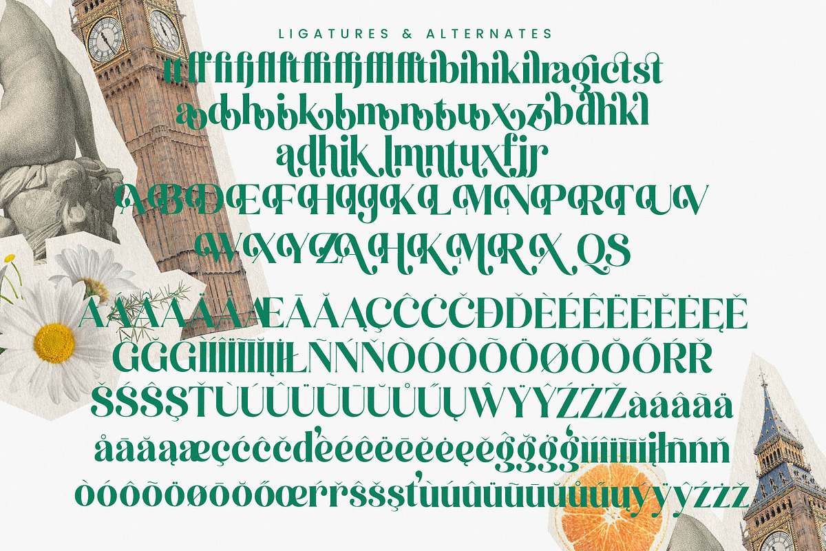 Kinsley Angels Modern Alternatate, a Serif Font by timelesstype.co (Photo 19 of 20)