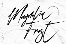 Magnolia Frost | Handwriting Font