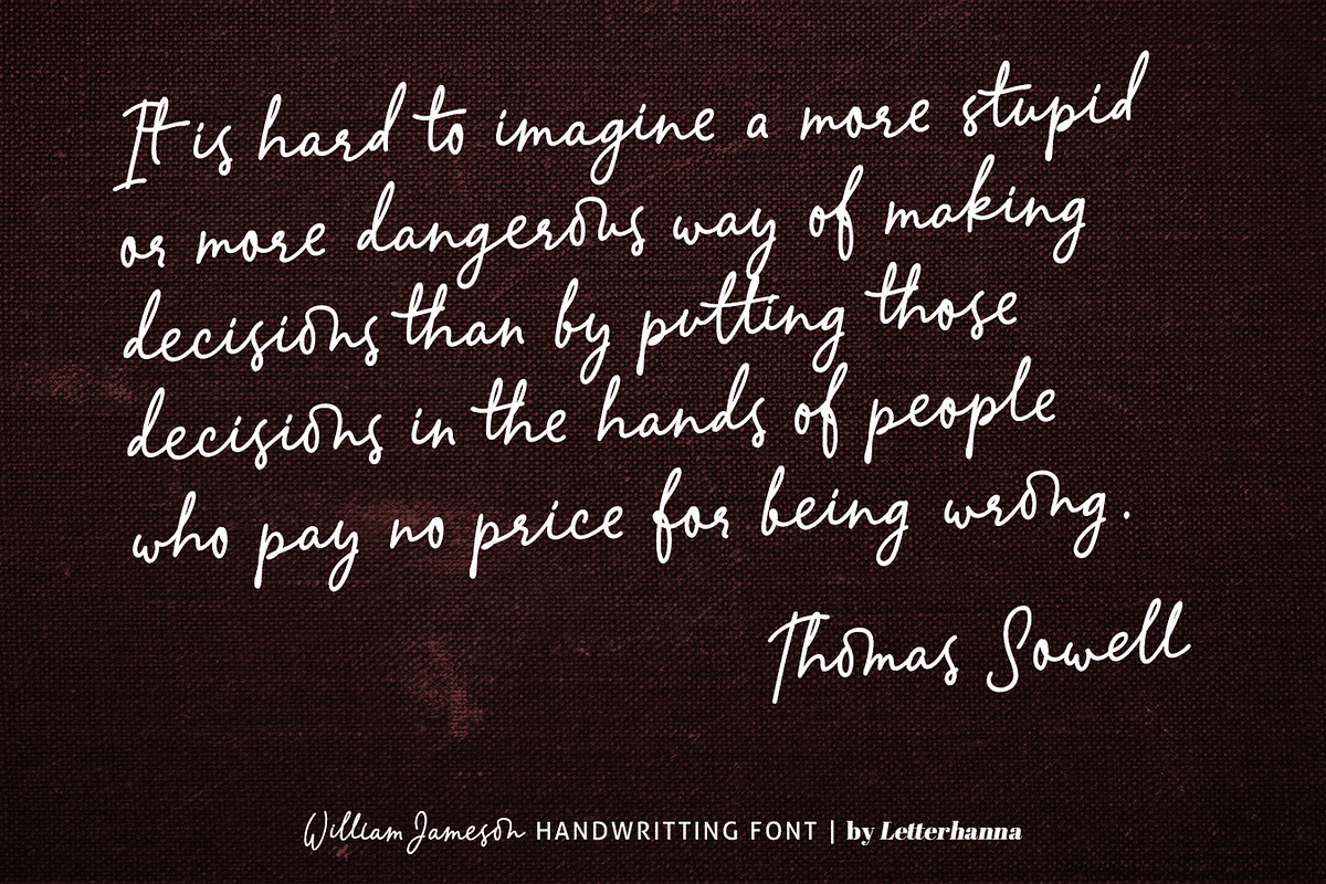 William Jameson Font, a Handwritten Font by Letterhanna Studio (Photo 8 of 15)