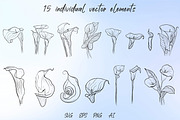 Calla Lily Flower SVG, a Graphic by KostaDigitalArt (Thumbnail 2 of 9)