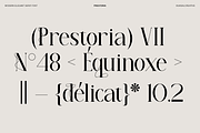 Prestoria Modern Elegant Serif Font, a Serif Font by Muksal Creative (Thumbnail 6 of 11)